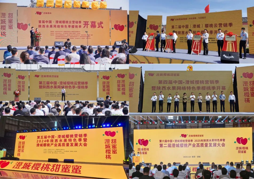 贾枭：澄城樱桃品牌化的经验和启示