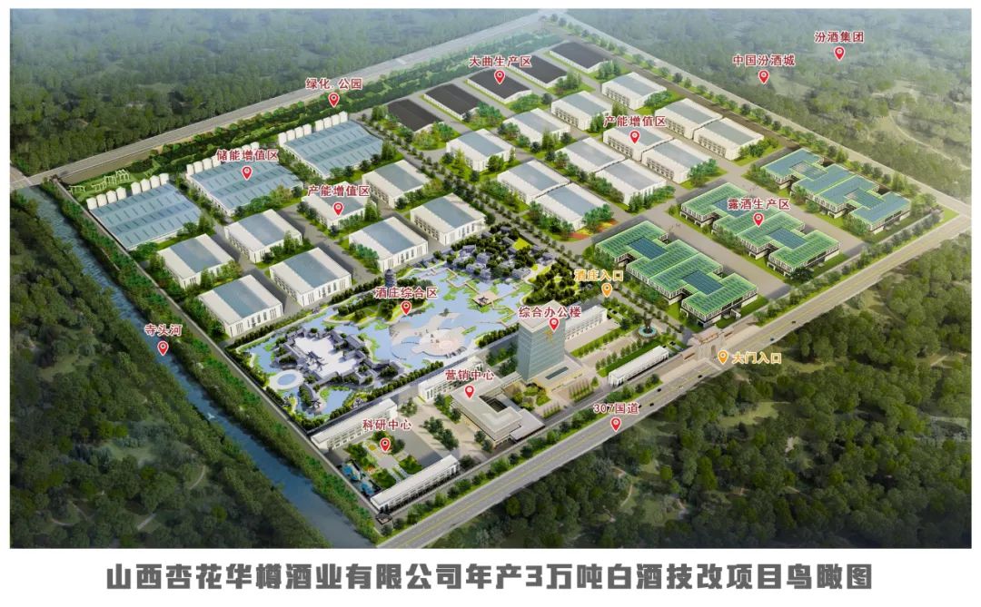 清香新周期，汾阳王持续热