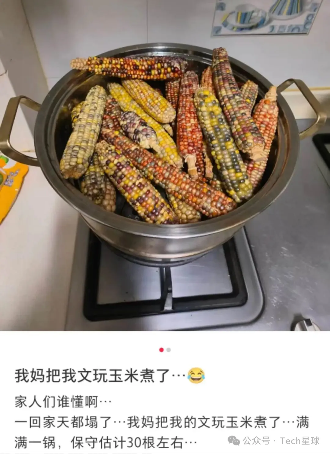 一根玉米卖10万，到底谁在为它买单？