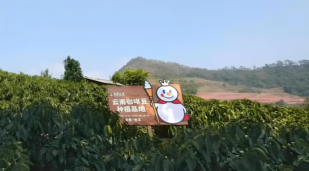 小红书千万围观，这届年轻人竟用蜜雪冰城做菜？