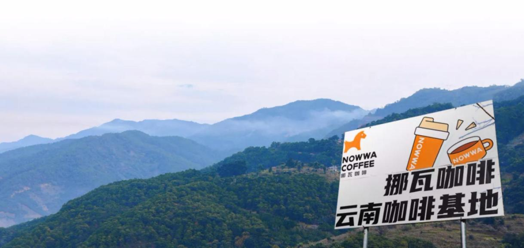 爆款不断,“一杯上头”,挪瓦咖啡凭什么圈粉年轻人
