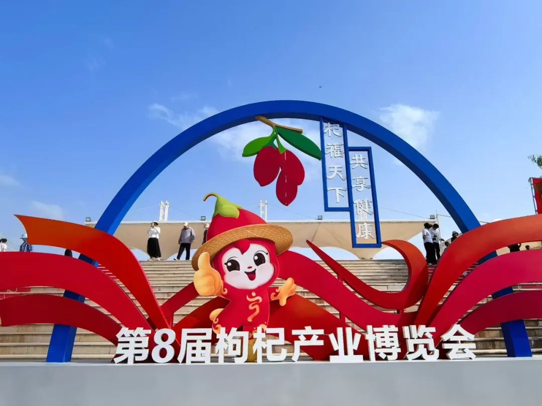 娄向鹏：宁夏枸杞，高质量发展的红色密码