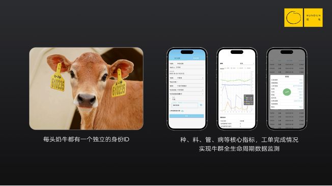 “认养一头牛”的商业密码：重资产的“慢功夫”