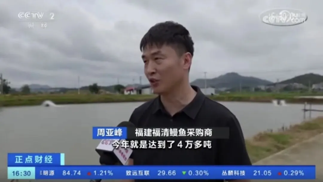 中国人开的日料店，气死了多少日本人？