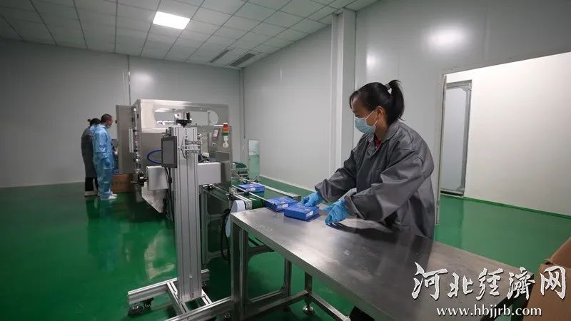 河北赞皇县：一颗小酸枣撑起50亿大产业