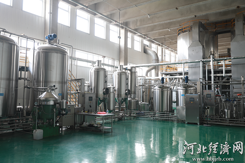 河北赞皇县：一颗小酸枣撑起50亿大产业