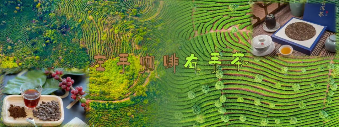 统一、锋味派、霸王茶姬加码的奶茶赛道,又一快消大佬要挑大梁!