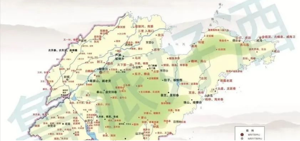 “新禁酒令”后鲁酒的方与向