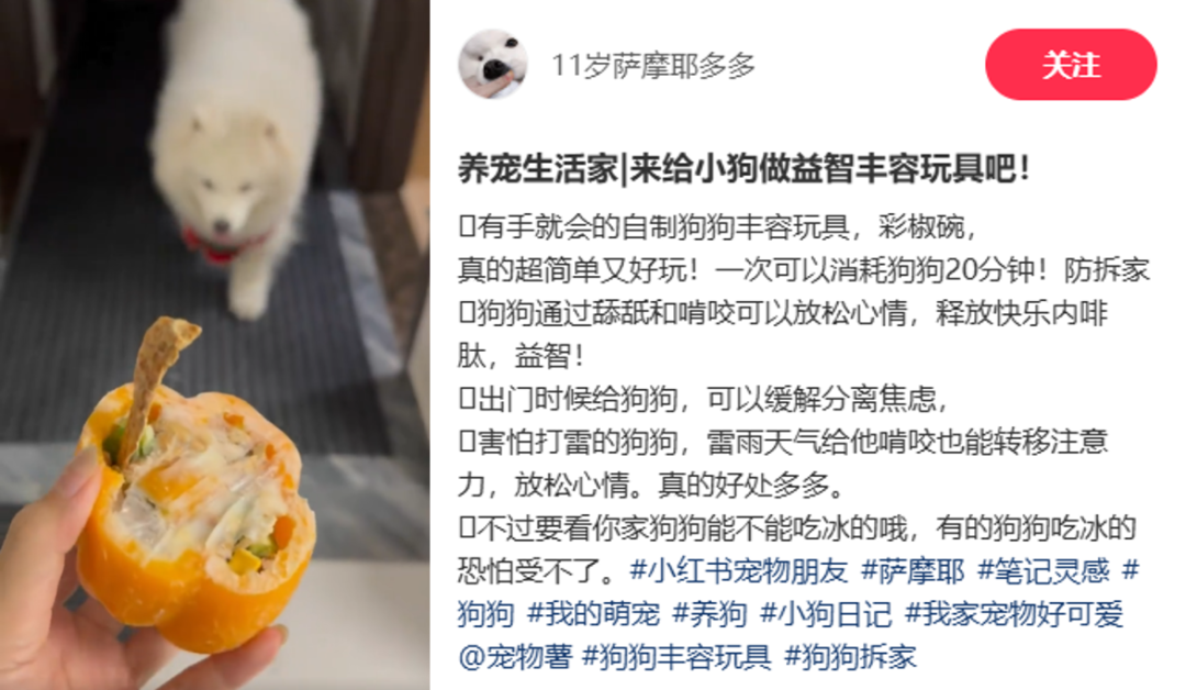 关晓彤带火的彩椒碗,能成为下一个超级食物吗?