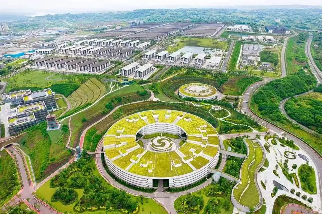 跳出阶段性，从更长周期看泸州老窖的韧性与潜能