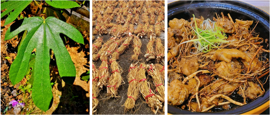 杜建坡:河北特色食材破圈记,从田间到餐桌的万亿新机遇