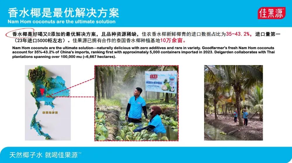 黄金8小时:椰子水如何在“天然热”中赢得长期主义?