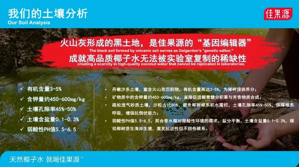黄金8小时:椰子水如何在“天然热”中赢得长期主义?