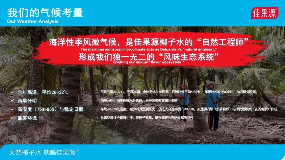 黄金8小时:椰子水如何在“天然热”中赢得长期主义?