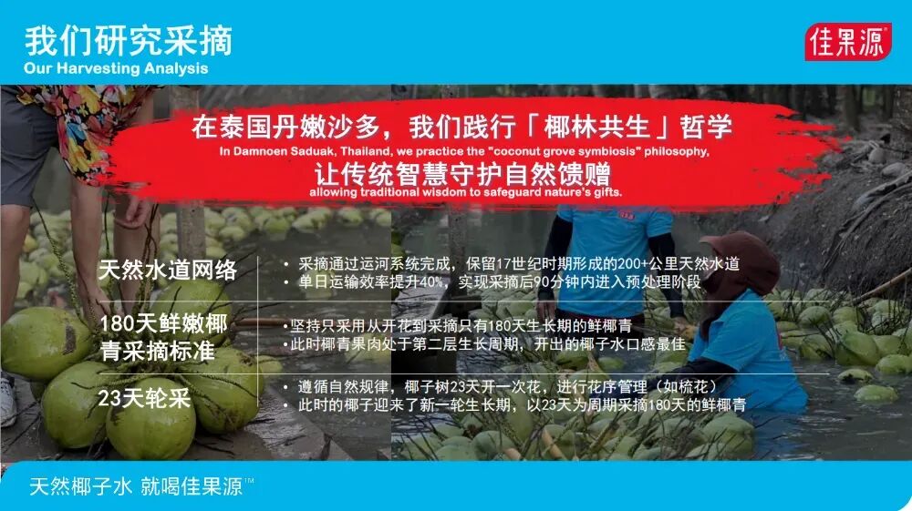 黄金8小时:椰子水如何在“天然热”中赢得长期主义?