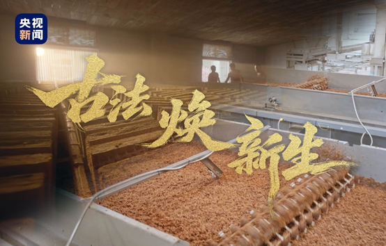 央视新闻见证古井力量：传统与智能的碰撞，酿造时代新味
