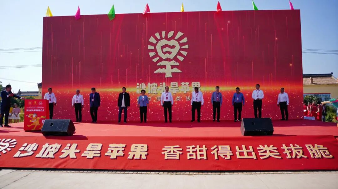 娄向鹏：沙坡头旱苹果，开创苹果新品类