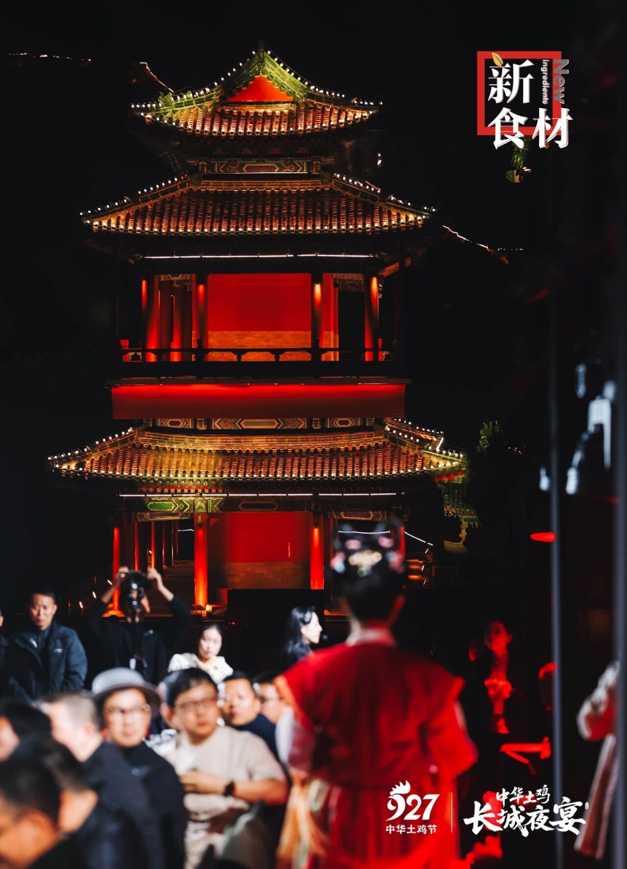 向上生长,向下扎根,中华土鸡消费价值提升与拓展之路