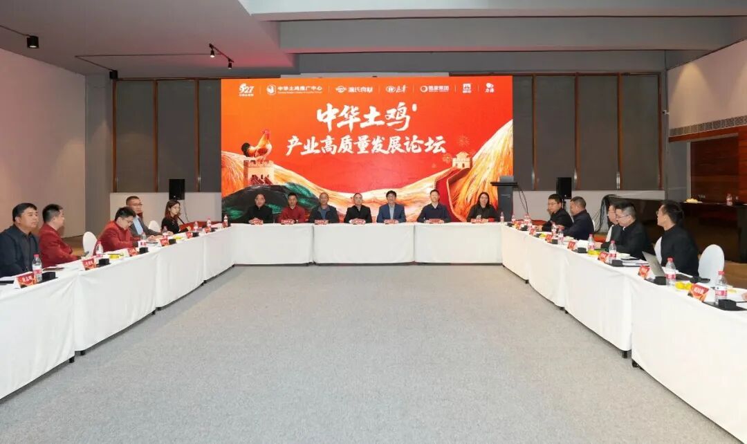 向上生长,向下扎根,中华土鸡消费价值提升与拓展之路