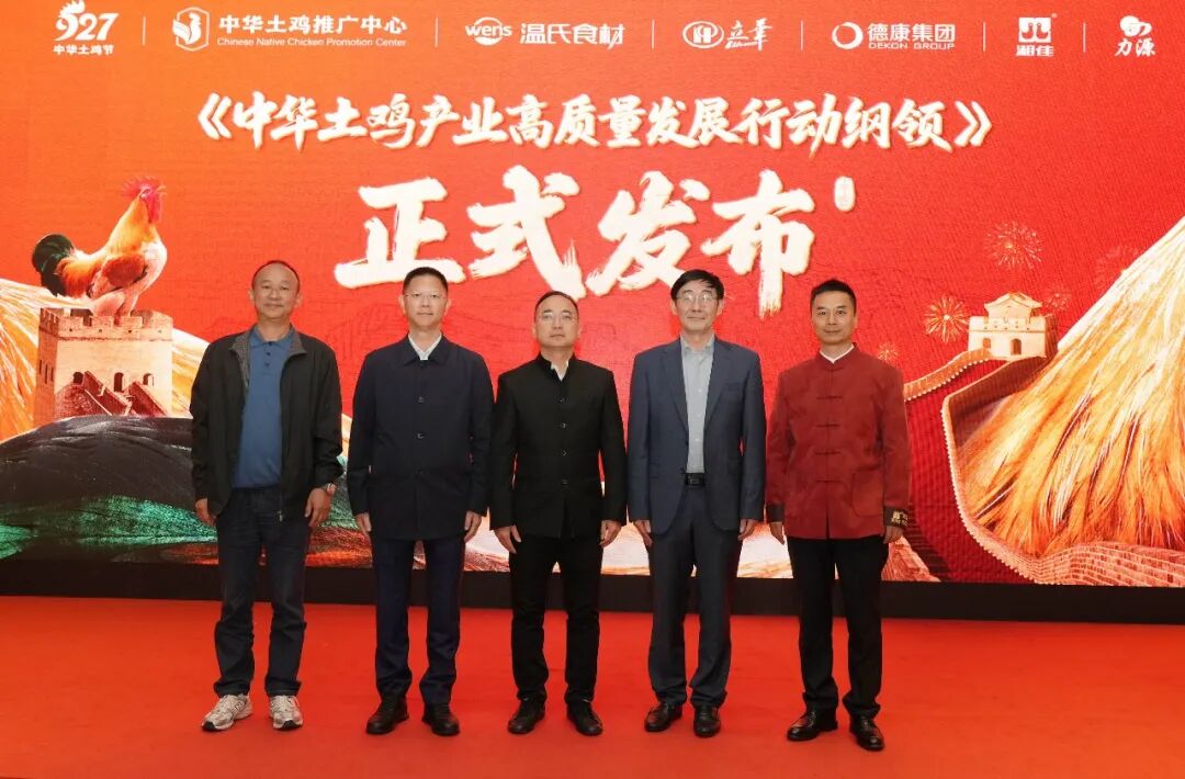 向上生长,向下扎根,中华土鸡消费价值提升与拓展之路