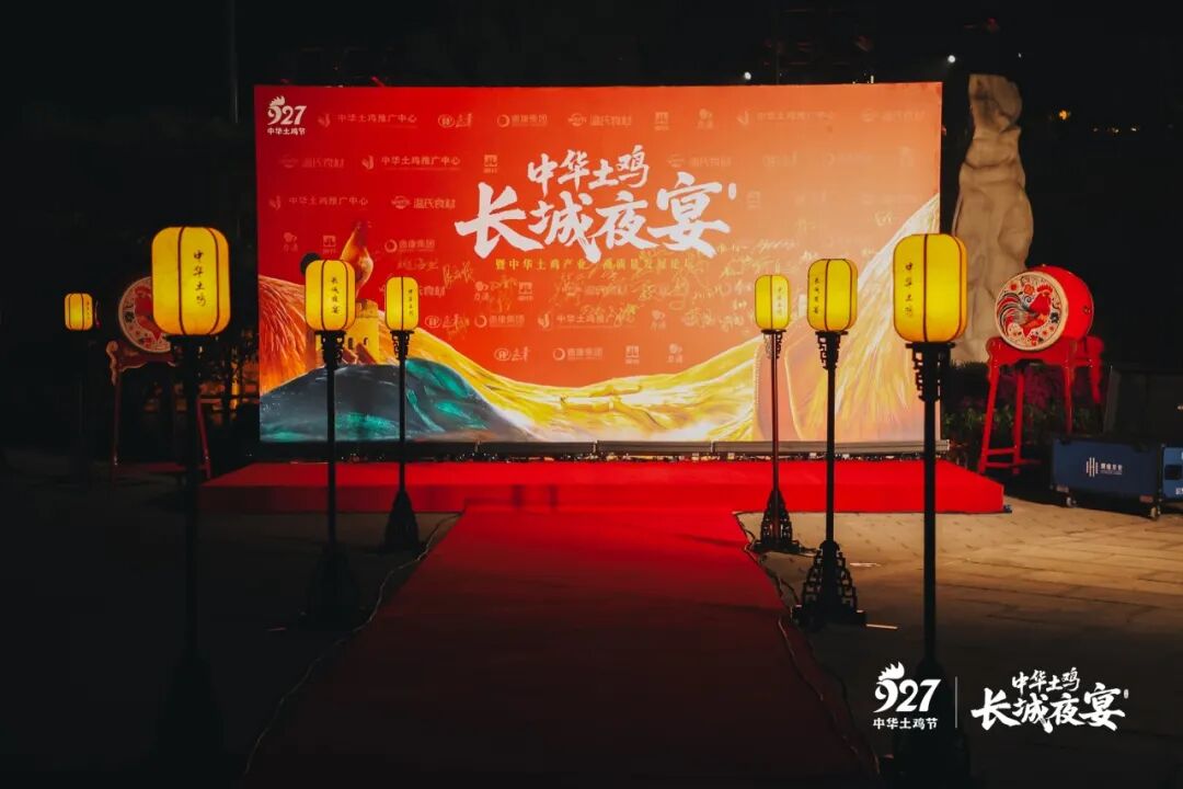 向上生长,向下扎根,中华土鸡消费价值提升与拓展之路