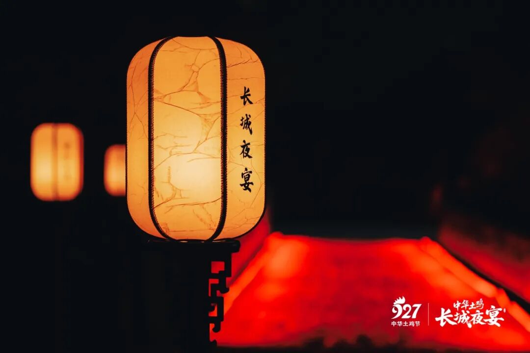 向上生长,向下扎根,中华土鸡消费价值提升与拓展之路