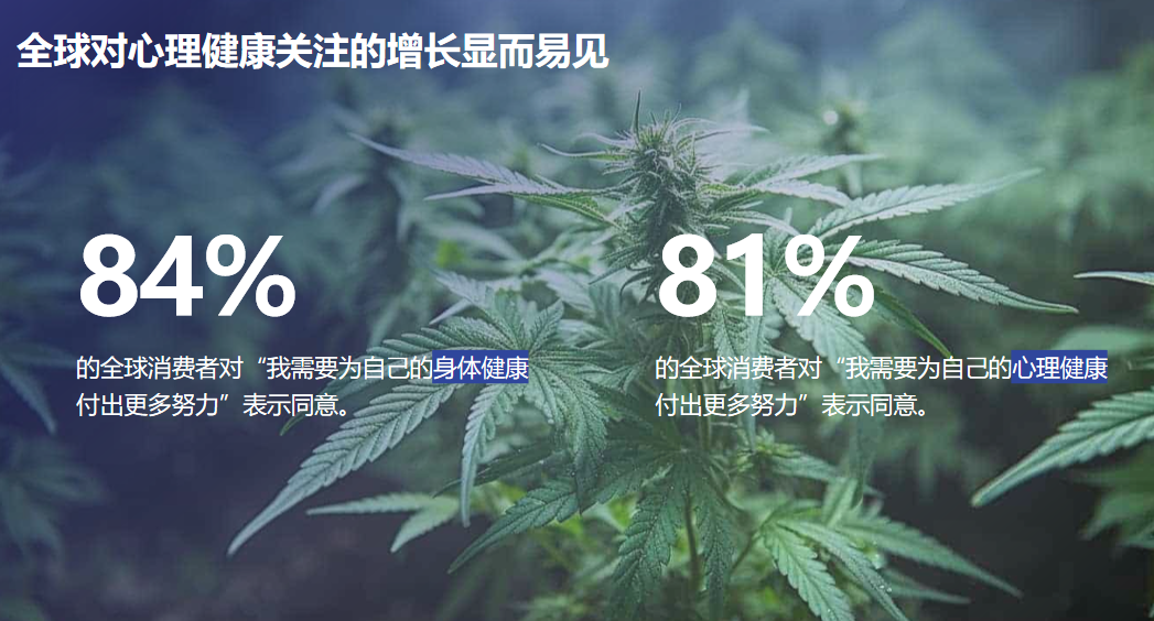 益普索老大卫：全球趋势变化下，洞察中国品牌的六大机遇与挑战