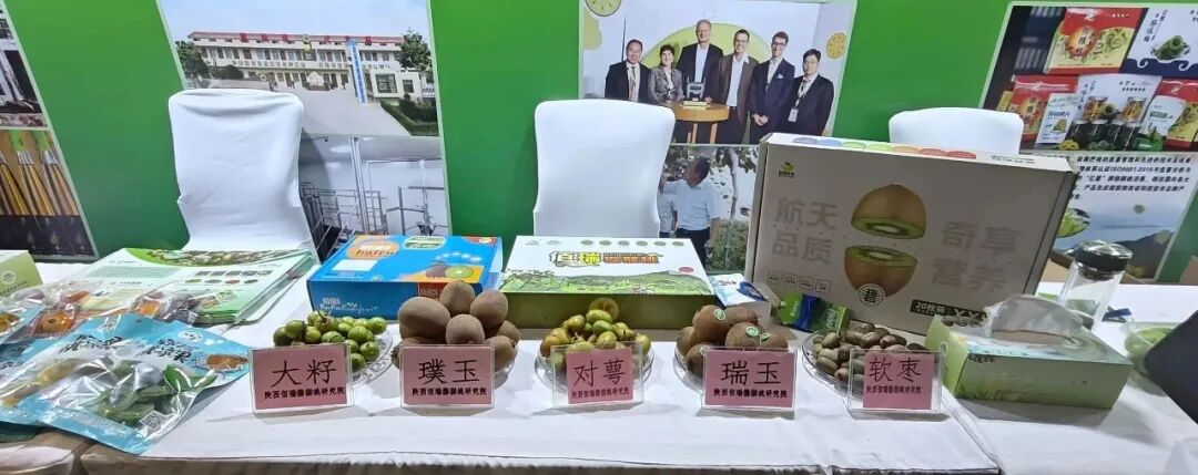 周至猕猴桃:十年领航的争先之“道”