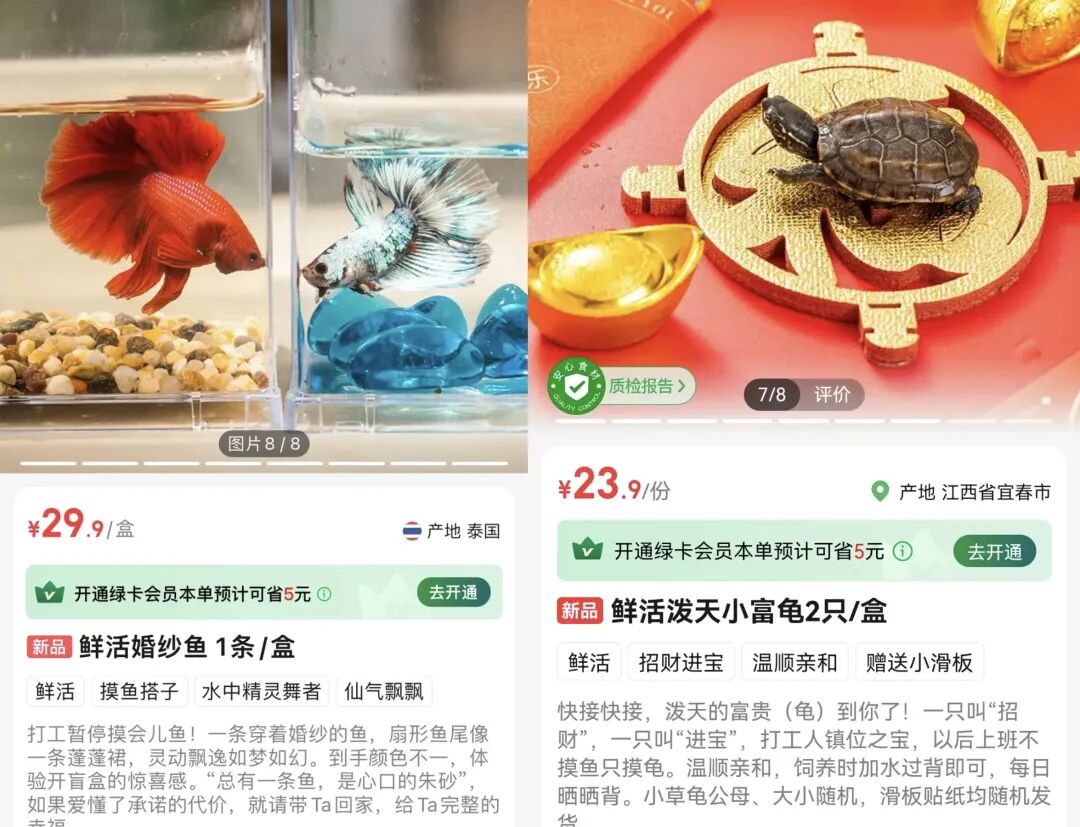 叮咚买菜的选品,“癫”出了一条情绪赛道