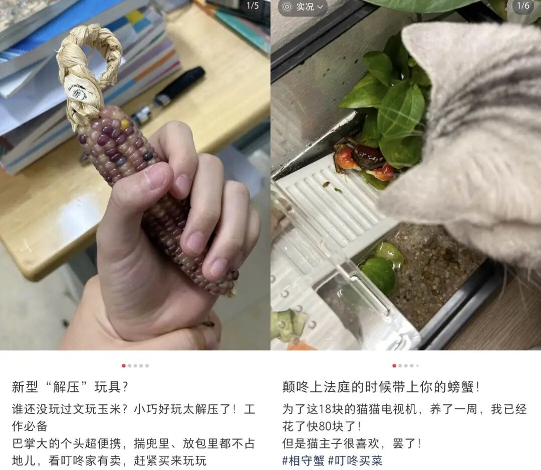 叮咚买菜的选品,“癫”出了一条情绪赛道