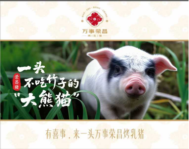 万事荣昌烤乳猪:中国生猪产业高质量发展路径的鲜活样本