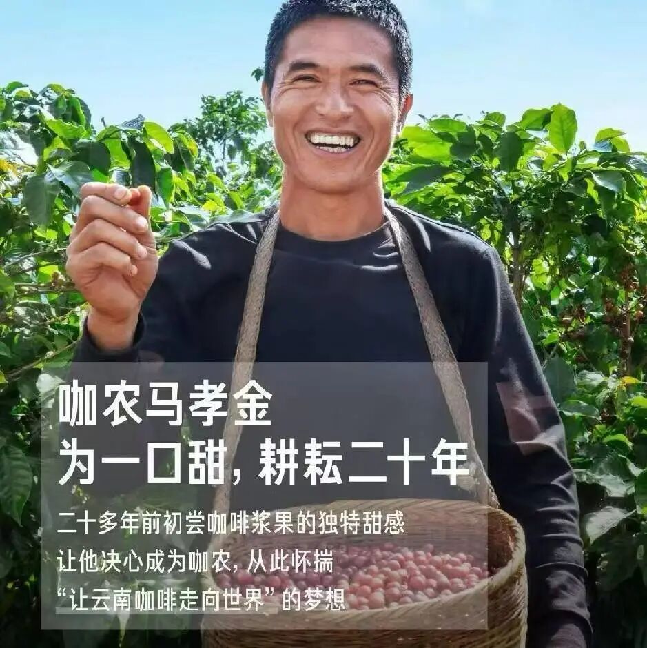 云南咖啡大丰收,幕后推手是谁?