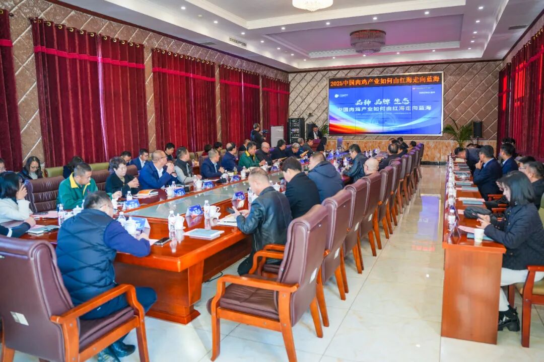 肉鸡企业共探中国肉鸡从红海突围到蓝海共生转型路
