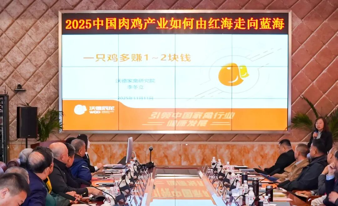 肉鸡企业共探中国肉鸡从红海突围到蓝海共生转型路