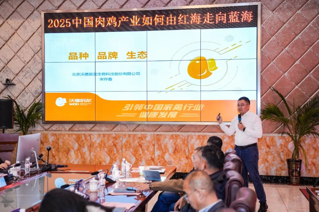 肉鸡企业共探中国肉鸡从红海突围到蓝海共生转型路