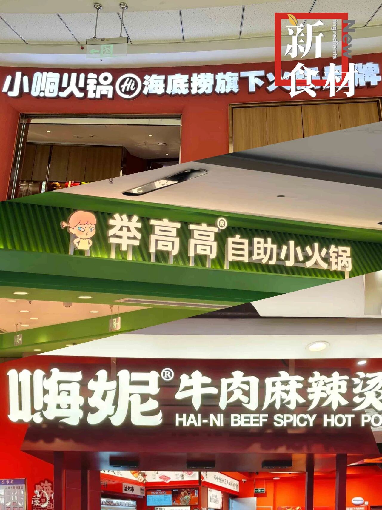 “焦虑”的海底捞,开启“批量造星计划”