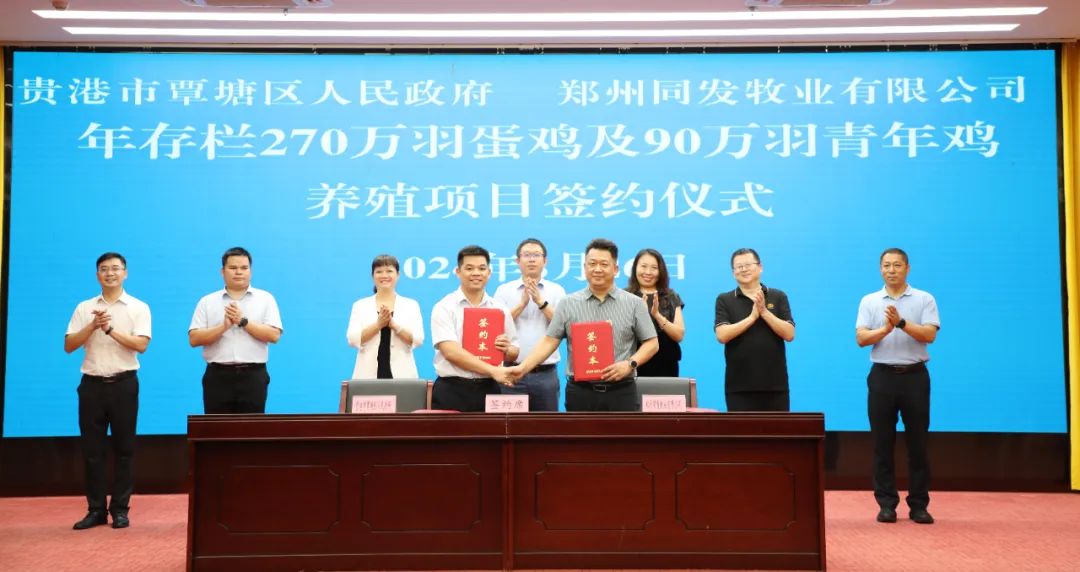 同发6.74亿元蛋鸡项目即将投产！未来目标实现1000万羽蛋鸡存栏