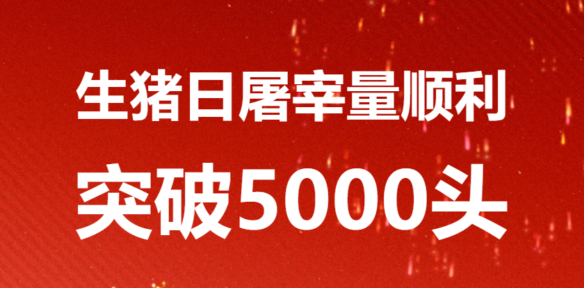 三全、荷仙上新；双汇聘白松为CIO；胖东来招聘年薪百万+；雨润发力“非笼养” | 一周热点