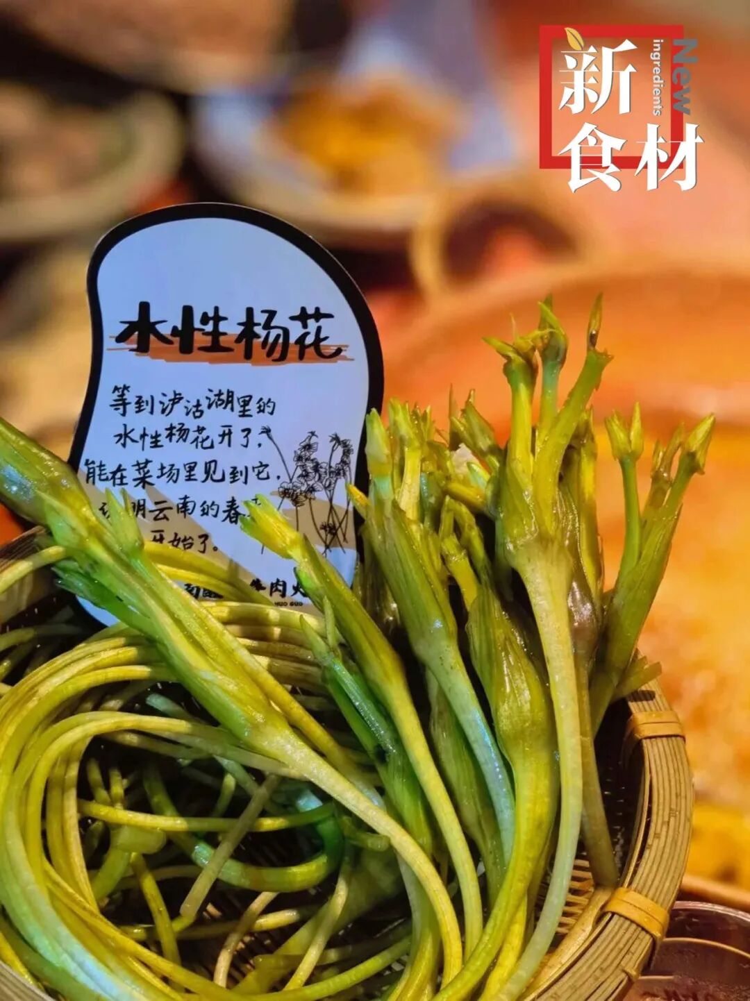 一盘“水性杨花”卖到26元:火锅店的“素菜革命”如何重塑食材供应链?