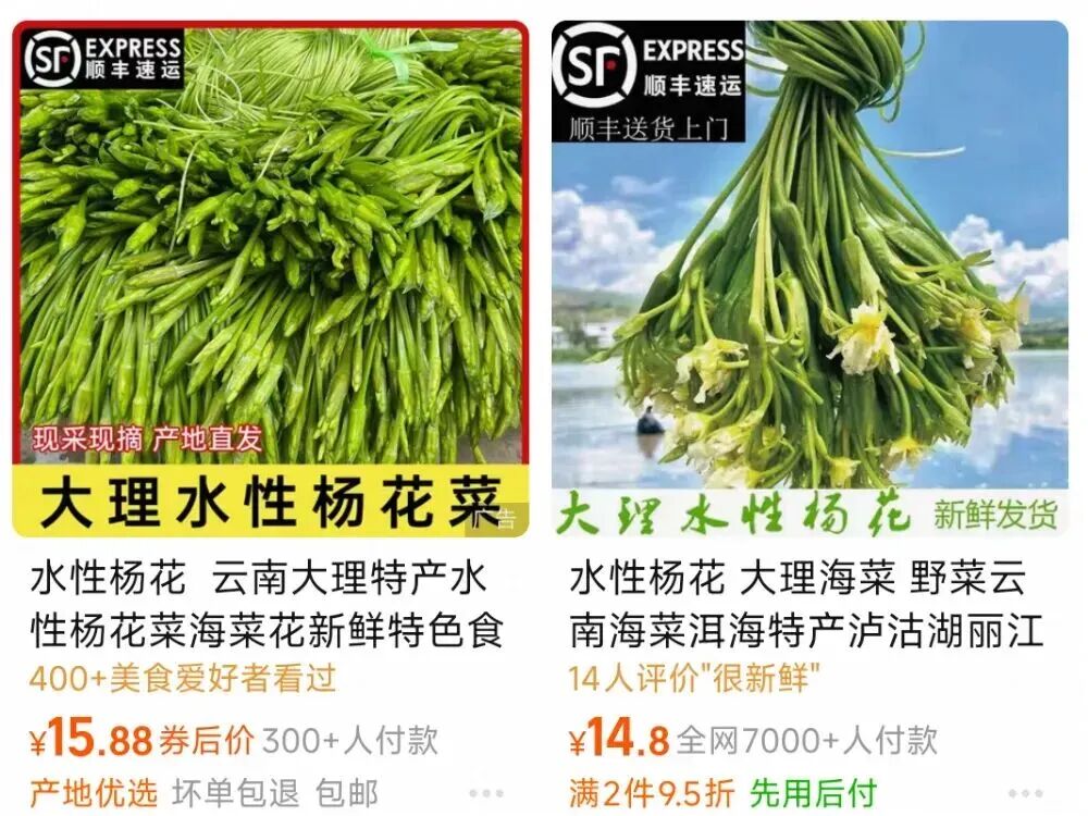 一盘“水性杨花”卖到26元:火锅店的“素菜革命”如何重塑食材供应链?