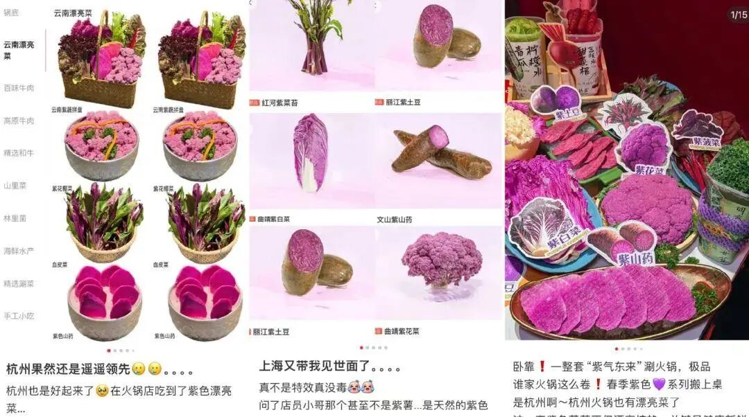 一盘“水性杨花”卖到26元:火锅店的“素菜革命”如何重塑食材供应链?
