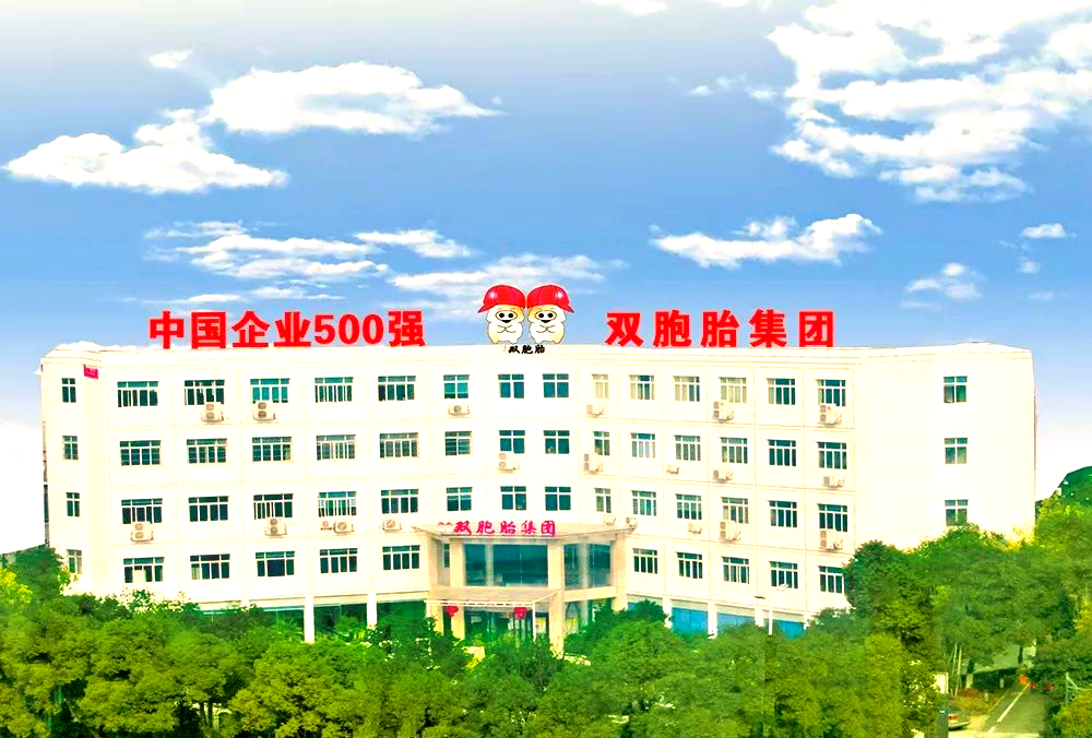 重磅!双胞胎承诺四年内整体上市,两年内完成重整注入资产