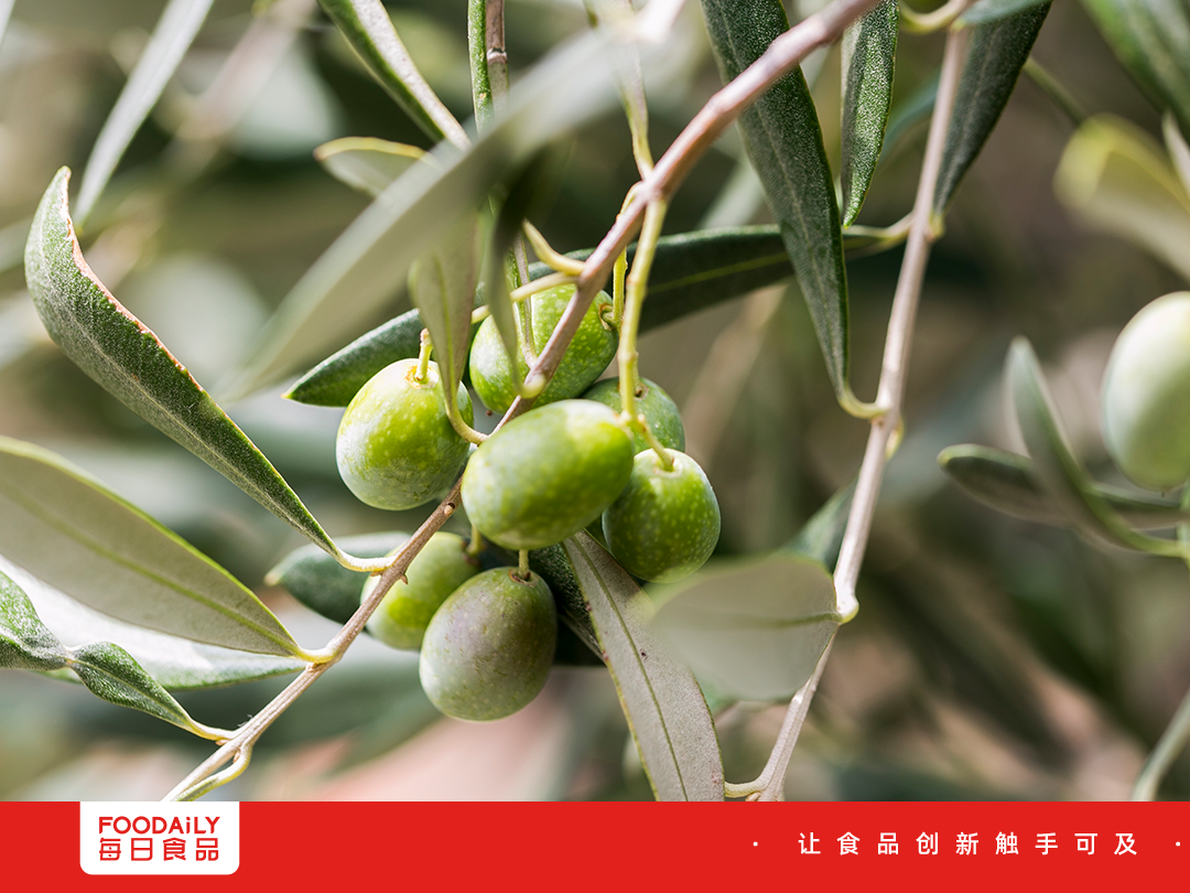 爆款配方预警！超级原料获批，为千亿赛道注入新核能