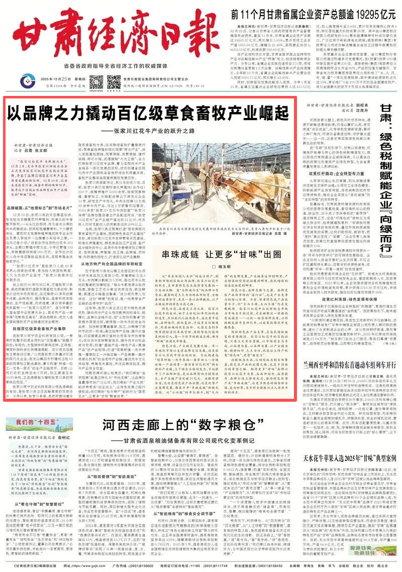 张家川红花牛:以品牌之力撬动百亿级产业崛起