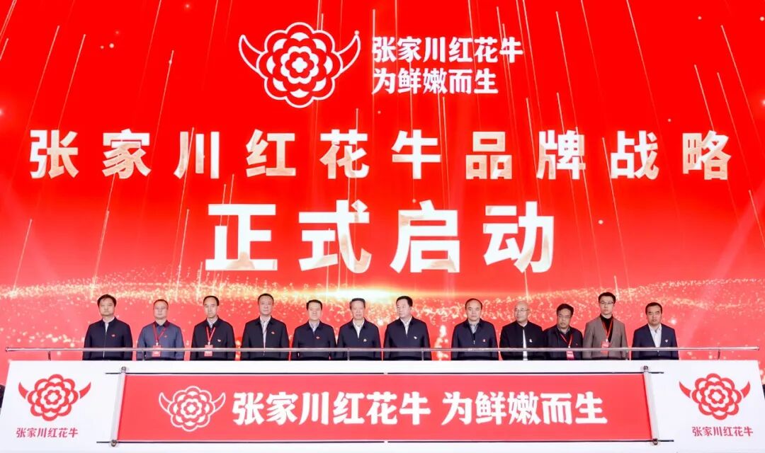 张家川红花牛:以品牌之力撬动百亿级产业崛起