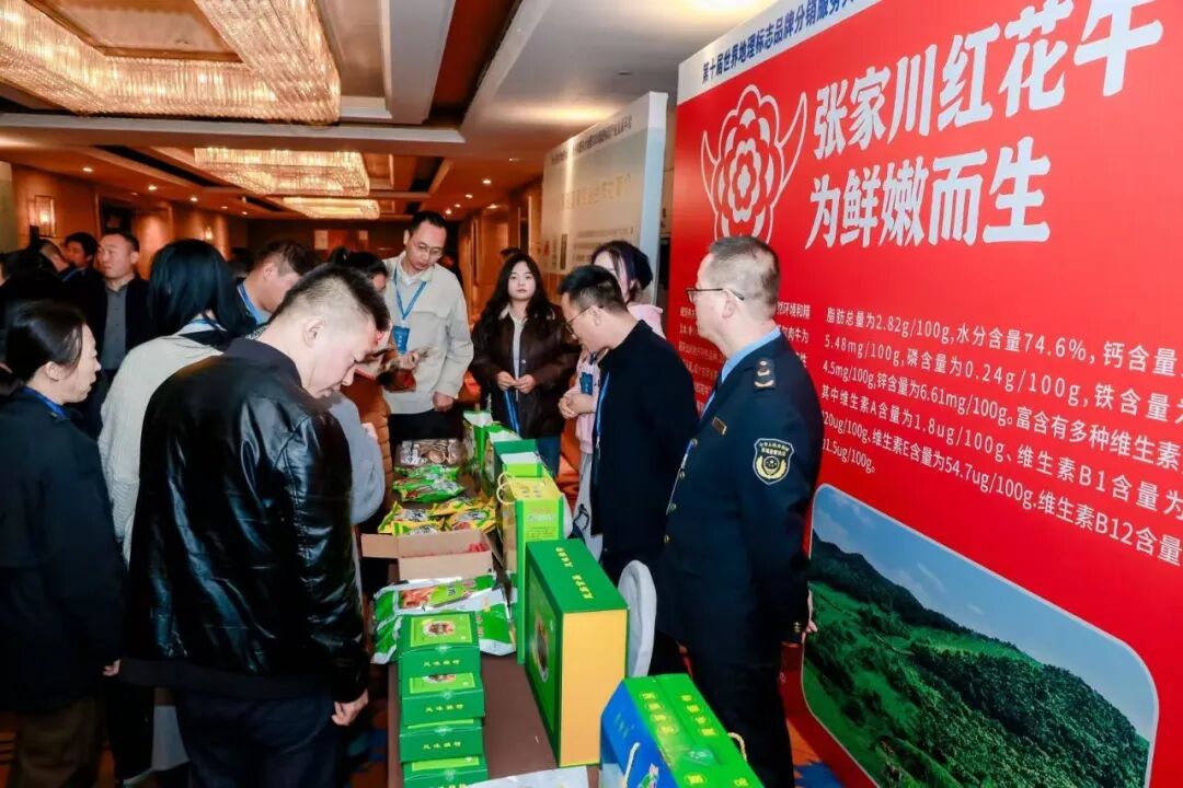 张家川红花牛：以品牌之力撬动百亿级产业崛起