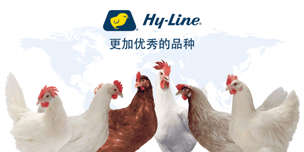中国加快采购美国大豆，总购买量逼近1000万吨！2025年巴西大豆和豆粕出口双双创历史新高