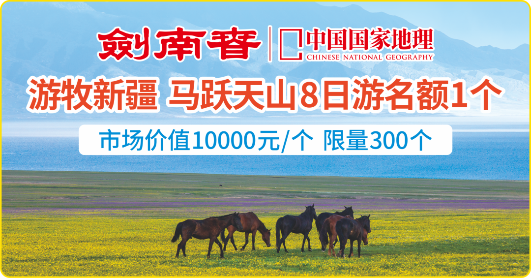 文化赋能+IP深耕:剑南春2026春节营销的差异化破局之道