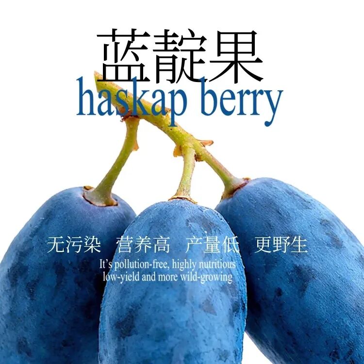 独家 | 春糖爆点提前看！