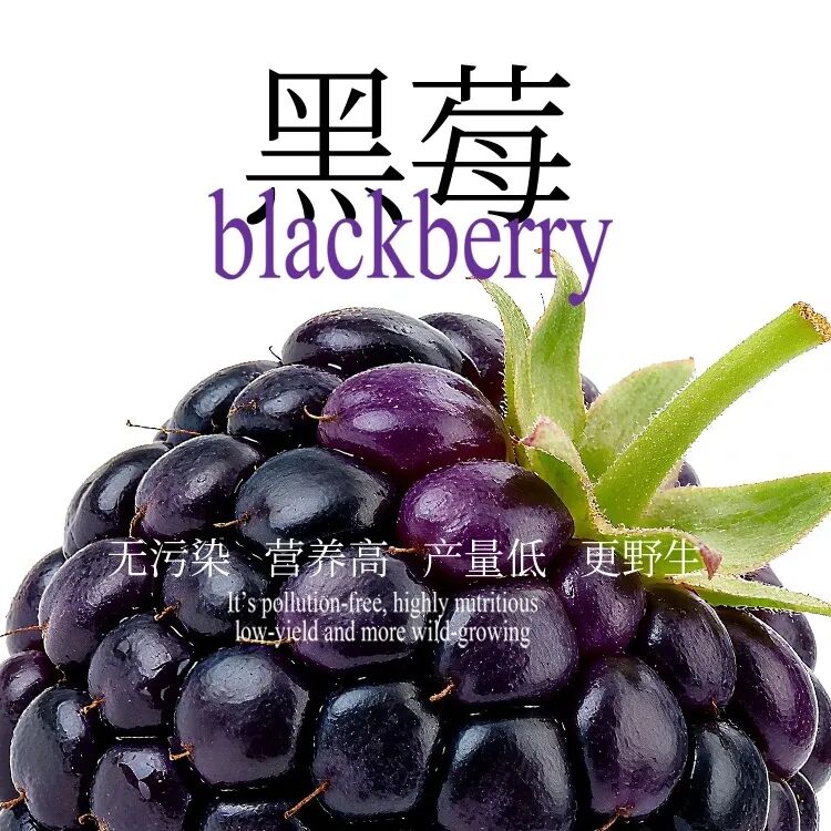 独家 | 春糖爆点提前看！